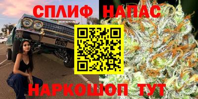 ешки Сланцы