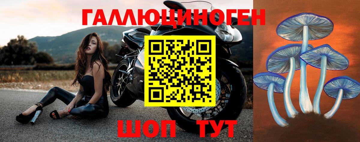 Псилоцибиновые грибы ЛСД  Вход с VPN  Новошахтинск 